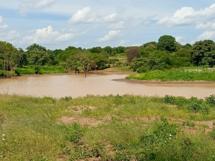 The livelihood support and climate change resilience Kaveta dam in Ikanga ward of Kitui county filled with water after the October-December rains