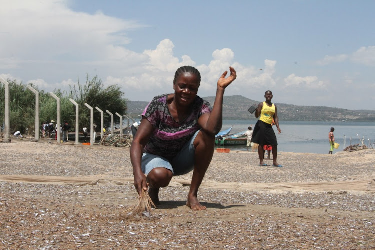 A trader dries omena at Sori beach
