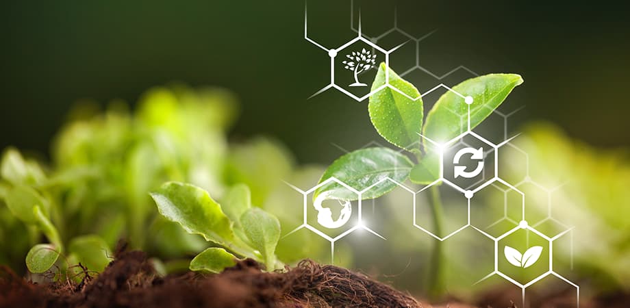 Machine learning algorithms can analyze historical data to predict future outcomes, such as crop yields or the likelihood of pest outbreaks