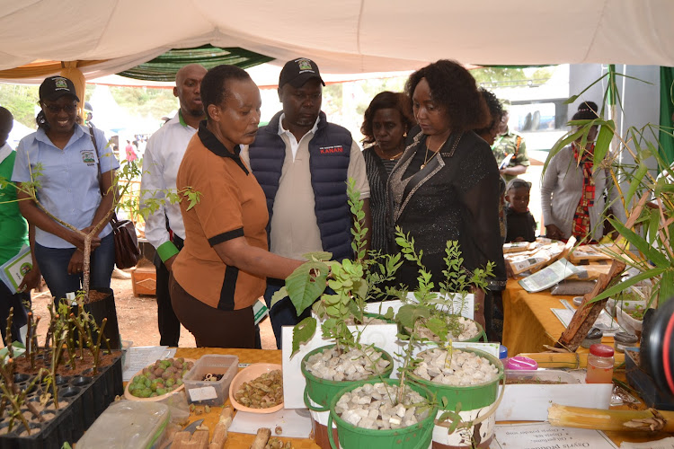 Kitui Kefri communication officer Damaris Munyao explains a point on tree growing to deputy governor Augustine Kanani and CEC for trade Rose Mutuku during a tour of the Kefri stand at the Ithookwe show ground on Saturday. Image: Star Magazine