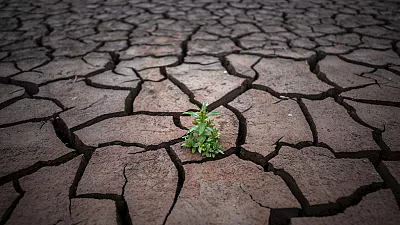 NDMA attributes the rainfall to forthcoming El Nino