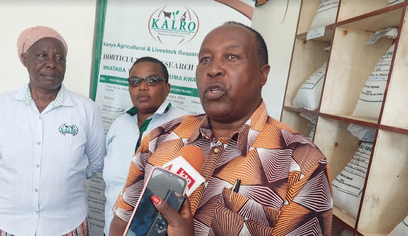 KALRO Seeds Director Robert Musyoki