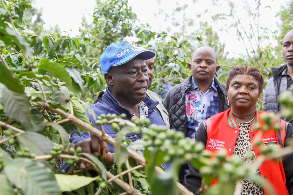 Gachagua identified the primary obstacles preventing youth from entering agriculture as limited access to land and capital