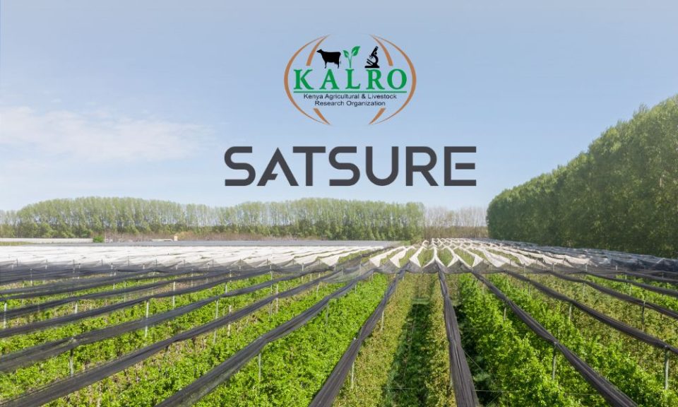 Satellite data being analyzed to monitor Kenyan crop fields in partnership between SatSure and KALRO